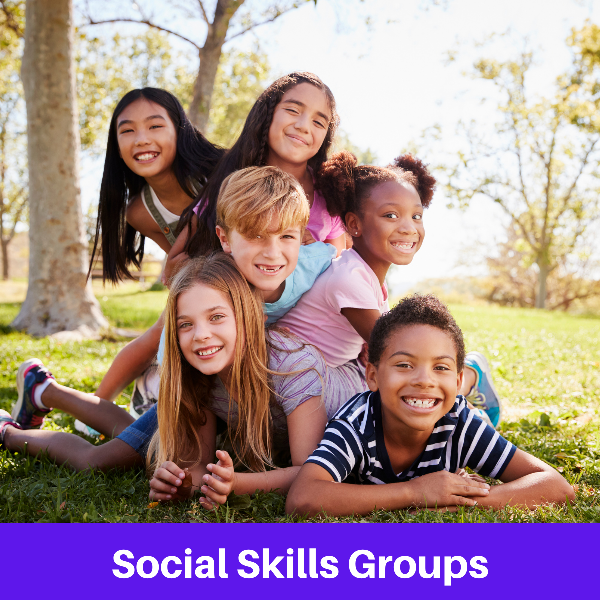 Social Skills Groups for Autism